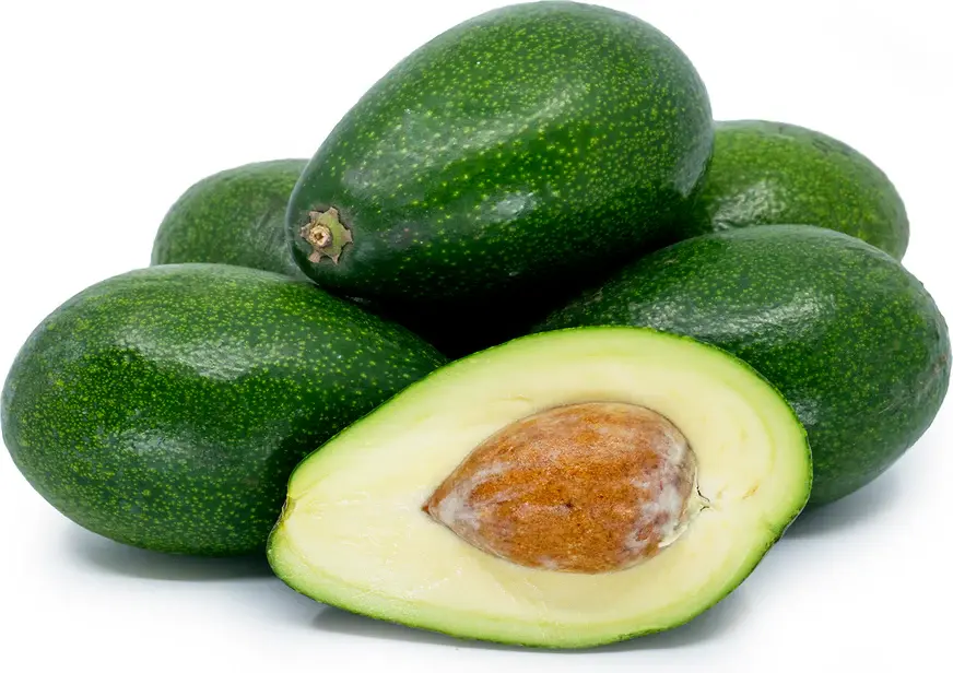 Avocado