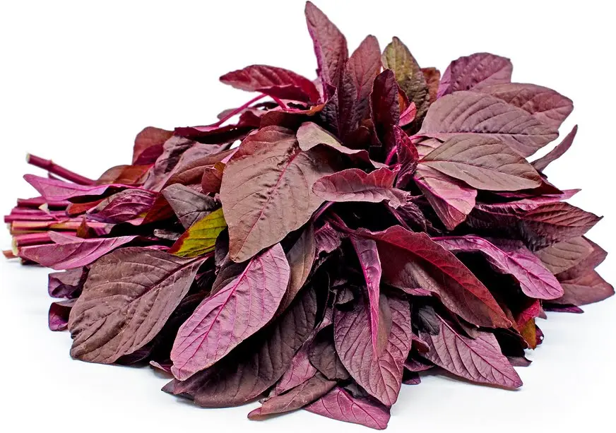 Red amaranth