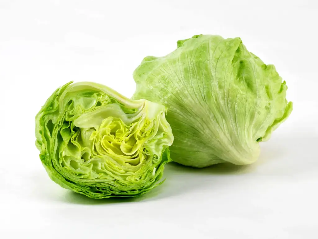 Iceberg lettuce