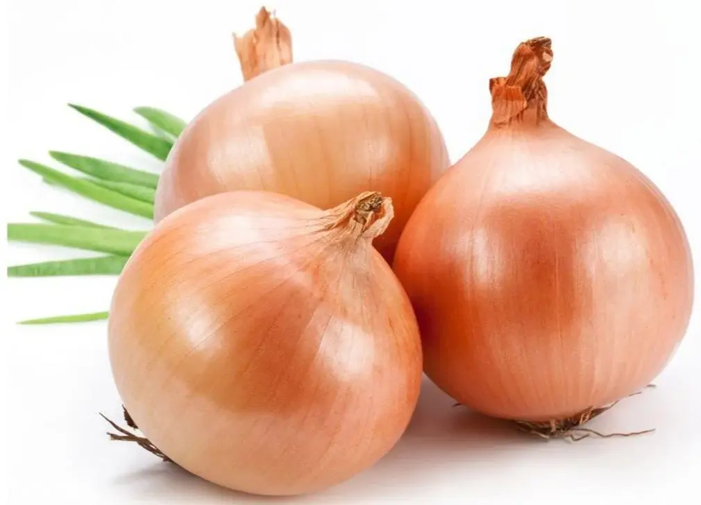 White Onion