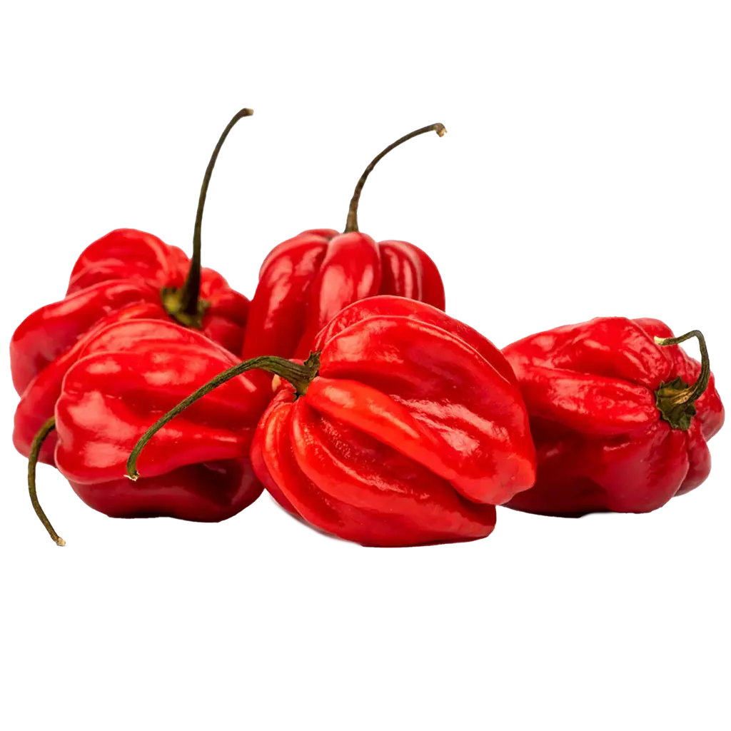 Big Chilli (Habanero)