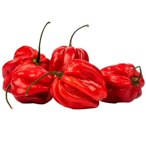 Big Chilli (Habanero)